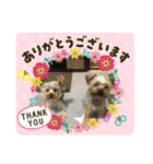 りお君〜そら君〜(*'.'*)（個別スタンプ：11）