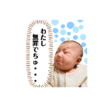 あやぴとにゃんずスタンプ時々お父さん（個別スタンプ：31）