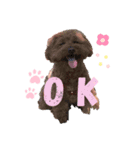 とびーくん（個別スタンプ：1）