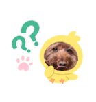 とびーくん（個別スタンプ：4）