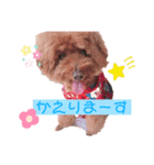 とびーくん（個別スタンプ：6）