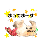 可愛いわんこ達（個別スタンプ：8）