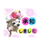 可愛いわんこ達（個別スタンプ：16）
