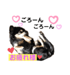 可愛いわんこ達（個別スタンプ：28）