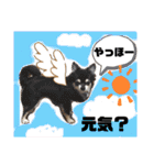可愛いわんこ達（個別スタンプ：40）