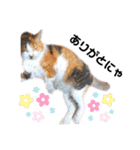 ちーさん＆ころんのスタンプ（個別スタンプ：4）