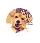大好きれおん（個別スタンプ：1）