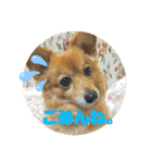 大好きれおん（個別スタンプ：5）