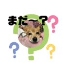 大好きれおん（個別スタンプ：6）