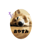 大好きれおん（個別スタンプ：8）