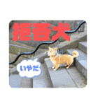 大好きれおん（個別スタンプ：10）