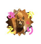 大好きれおん（個別スタンプ：11）