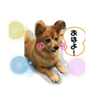 大好きれおん（個別スタンプ：13）