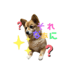 大好きれおん（個別スタンプ：14）