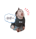あいちゃんスタンプ★゛②（個別スタンプ：6）