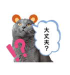ゆづパン仲良しスタンプ2nd（個別スタンプ：3）