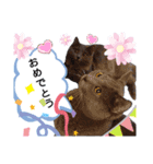 ゆづパン仲良しスタンプ2nd（個別スタンプ：13）