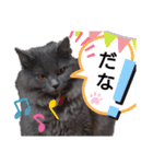 ゆづパン仲良しスタンプ2nd（個別スタンプ：15）