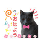 ゆづパン仲良しスタンプ2nd（個別スタンプ：19）