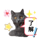 ゆづパン仲良しスタンプ2nd（個別スタンプ：24）