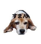 イノウエメリー（個別スタンプ：2）