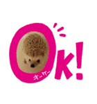 うちのペットたち！（個別スタンプ：7）