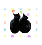 うちのペットたち！（個別スタンプ：22）