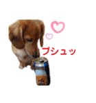 モコちん（日常）（個別スタンプ：3）