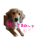 モコちん（日常）（個別スタンプ：6）