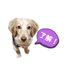 モコちん（日常）（個別スタンプ：8）