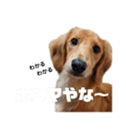 モコちん（日常）（個別スタンプ：11）