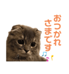 いつも寝ているミミ（個別スタンプ：23）