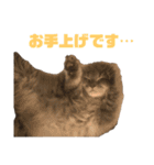 いつも寝ているミミ（個別スタンプ：30）