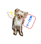 ラナくん2（個別スタンプ：2）