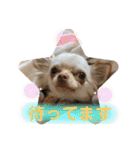 ラナくん2（個別スタンプ：6）