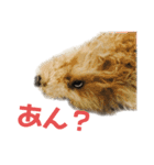 ここあたんの日常（個別スタンプ：6）