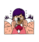 柴犬秀丸君（個別スタンプ：13）