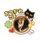 柴犬秀丸君（個別スタンプ：15）