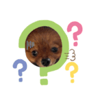 おはなちょろげ（個別スタンプ：4）