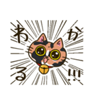 我が家の姉妹猫！（個別スタンプ：11）
