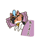 我が家の姉妹猫！（個別スタンプ：13）