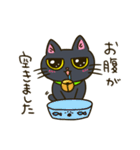 我が家の姉妹猫！（個別スタンプ：16）