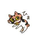 我が家の姉妹猫！（個別スタンプ：17）