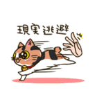 我が家の姉妹猫！（個別スタンプ：19）