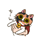 我が家の姉妹猫！（個別スタンプ：21）