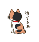 我が家の姉妹猫！（個別スタンプ：23）