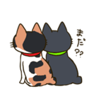 我が家の姉妹猫！（個別スタンプ：24）