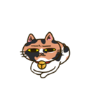 我が家の姉妹猫！（個別スタンプ：31）