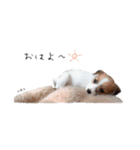NEOくんのお返事(パピーver.)（個別スタンプ：6）