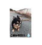 くるちゃんのくるくる日記〔たまに兄〕（個別スタンプ：5）